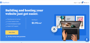 Screenshot I took when visited Bluehost